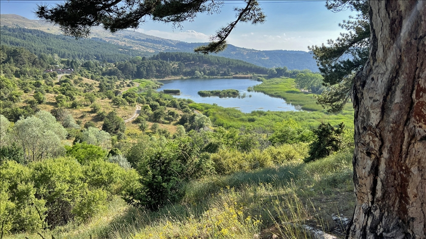 Taman Semula Jadi Bolu Karagol di Türkiye menarik minat peminat alam semula jadi